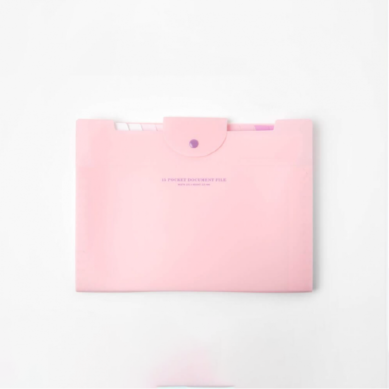 Carpeta tipo sobre con 15 divisiones Rosa Carpeta tipo sobre con 15 divisiones Rosa